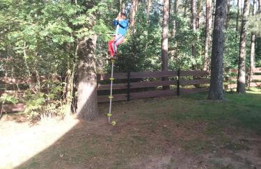 Domek Rokitki - Foto 2