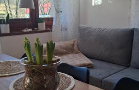 Bliżej Lasu - Rodzinny domek w górach - Foto 1