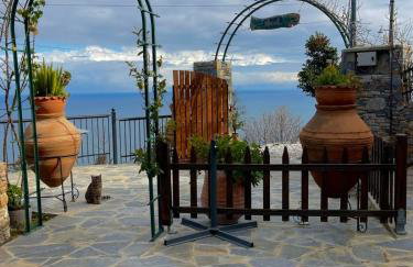 To giataki tou pappou - Foto 34