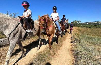 Villa Vito - with heated pool, whirlpool, gym - Foto 51