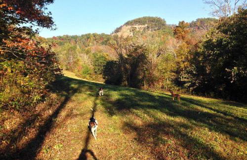 Alice Rocks - Pet Friendly, Firepit, WiFi - Foto 27