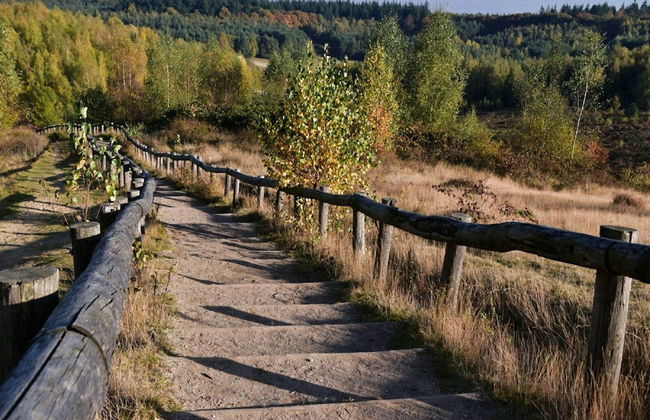 Cottage With Garden at Utrechtse Heuvelrug - Photo 13