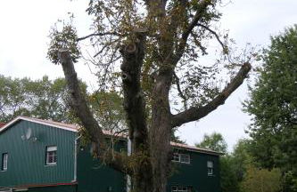 Ferienwohnung Weideglück - Foto 16