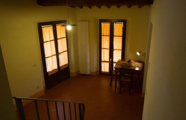 azienda agricola lo zolfino - Foto 39