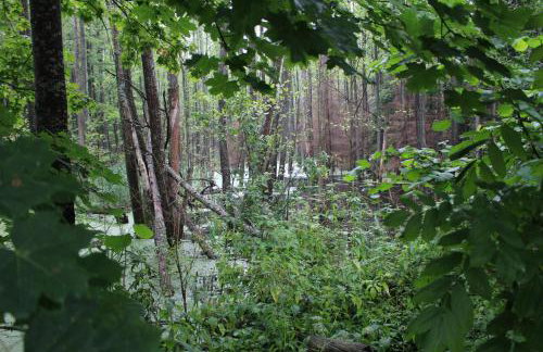 Apartamenty pod Wiciokrzewem - Foto 30