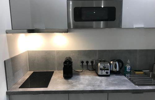 Studio Luxe + jardin et terrasse - Foto 14