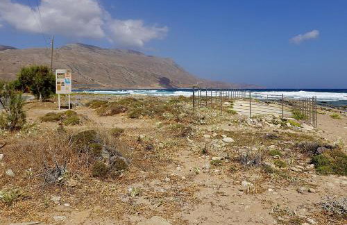 Cornelia Hippie Magic Bus - Foto 56