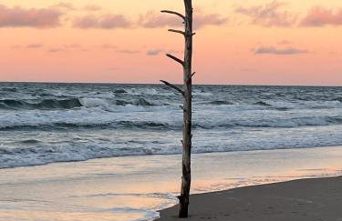 Harmony House - Appartement Blue - Photo 45