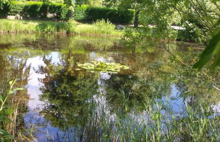 Haus am Teich - Teichblick - Foto 25