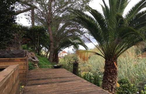 Casa d'Olívia - Photo 18