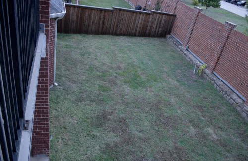 Spacious 4200 sqft - 6 bdrms 4 bath - Gym - Pets OK Near PGA - Universal KIDS - Star Frisco - Photo 66