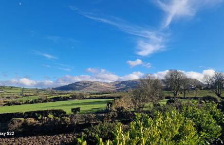 Andy's Home Cottage - Foto 24