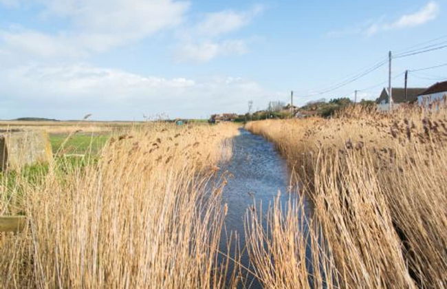 Host Stay Tystie Cottage - Foto 10