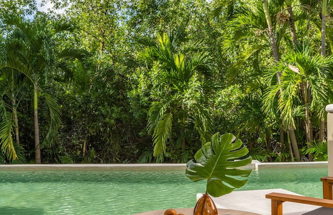 Hyatt Zilara Riviera Maya Adults Only All Inclusive - Photo 35