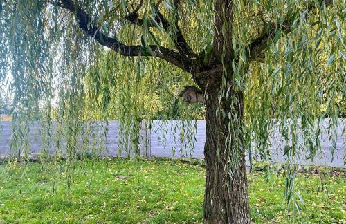 La Villégiature Laptoise, Calme et Confort - Foto 19