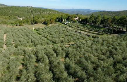 Podere Sagna - Foto 20