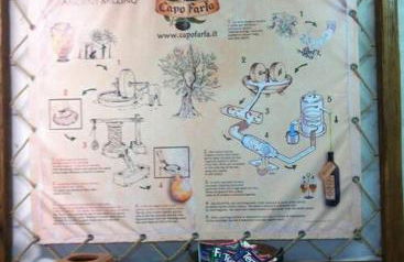 Almond Tree House - Eco Retreat - Foto 38