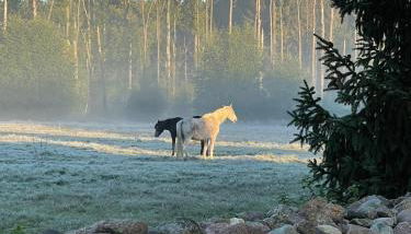 Herrenhaus Carolinenhof - Foto 2