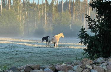 Herrenhaus Carolinenhof - Foto 2