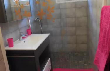 Le Génépi - Foto 9