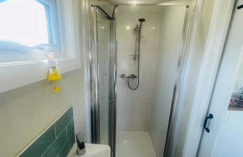 Whitethorn Shepherds Hut - Foto 11