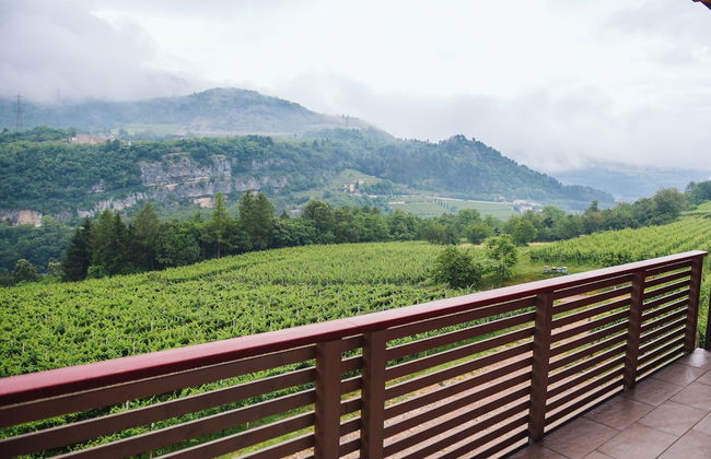 Agritur Verderame - Foto 61