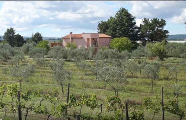 Agriturismo il Marrugio - Foto 37