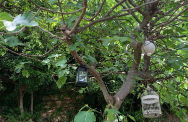 Corte 40 Rooms - Foto 11