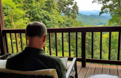 Treetops Cabin easy to Asheville with fast wifi and great view - Foto 36