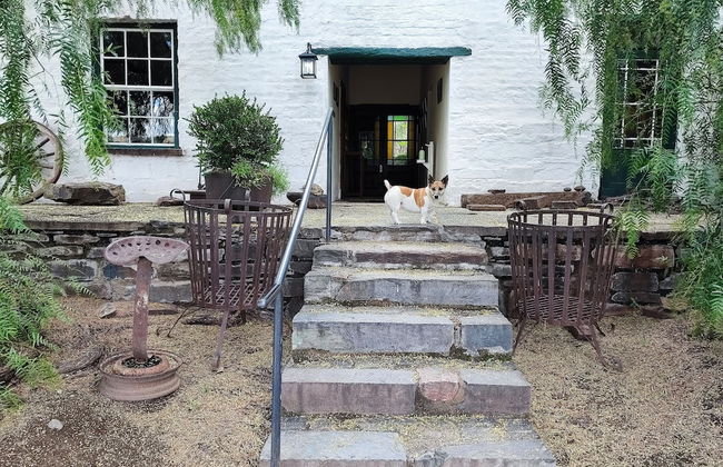 Ganora Guestfarm & Excursions - Foto 53