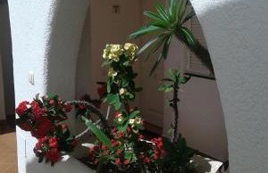 Apartamento con vistas al mar en la Isleta del Moro - Foto 14