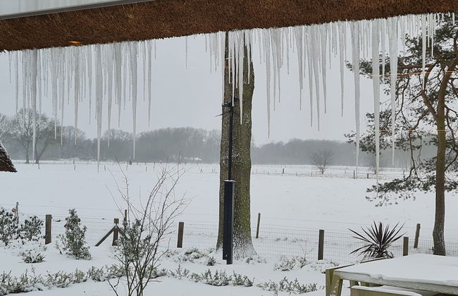 Charming Holiday Home in Nijverdal with Hot Tub - Foto 44