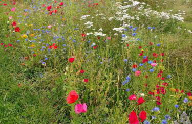 Wheat Cottage - 5* Cyfie Farm with private covered hot tub - Foto 15