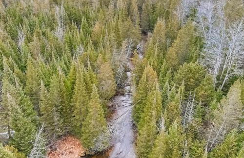 Steps to Sturgeon River! Dog-Friendly Nature Haven - Foto 23