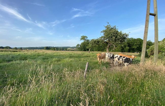 Idyllic Country House With Panoramic View - Foto 34