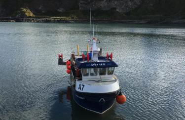 Dunnottar Cottage - Foto 78