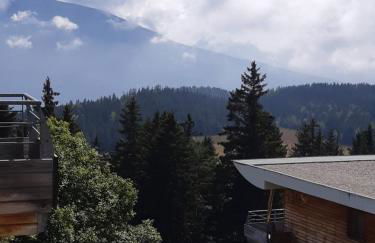 Silènes B33 à Chamrousse 1700 aux Domaines de l'Arselle - Foto 11