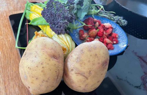 Little Linney - Sleeps 2 - Garden - Wifi - Parking - Photo 65