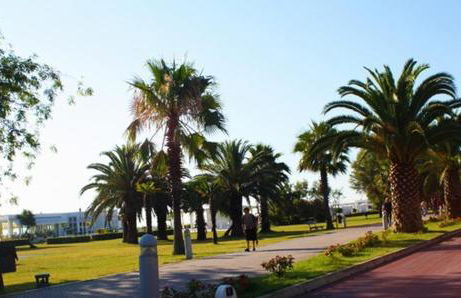 La Conchiglia - Foto 36