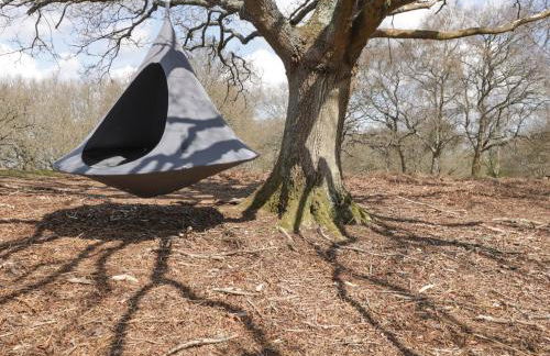 Pheasant Lodge - Photo 24