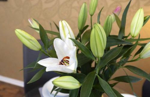 HC Property - Taylor Avenue - Photo 20