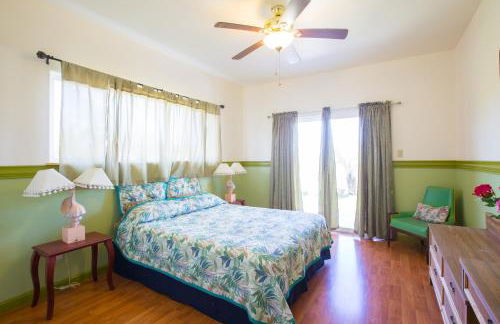 Coconut Palms Vacation Rental near lava fields and beaches - Foto 27