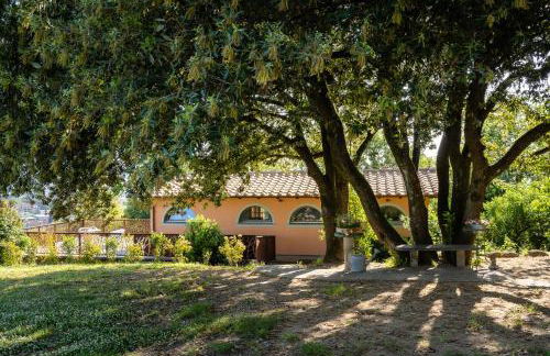 Agriturismo Bellandi - Foto 45