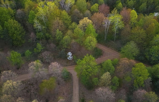 Postcard Cabins Barber Creek, Outdoor Collection by Marriott Bonvoy - Photo 42