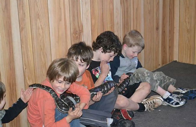 Grand Gippsland Home Sleeps Up To 28 - Foto 38