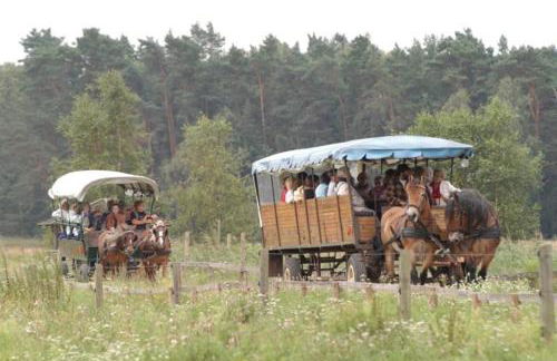 Naturidylle mit Kamin und Sauna in der Schorfheide - Foto 11