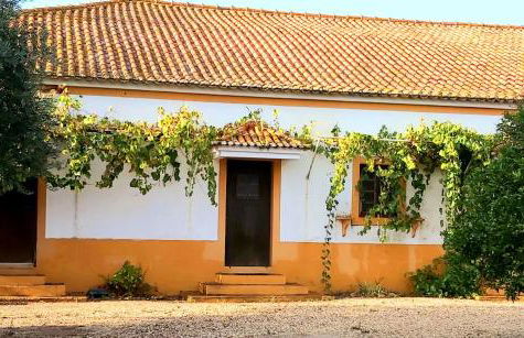 Casas Herdade do Convento da Serra - Foto 28