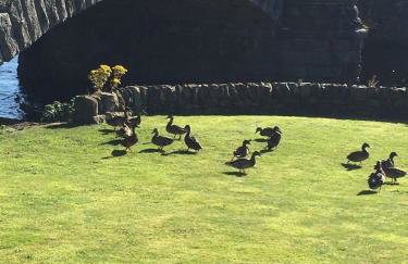 The Toll House - Photo 34