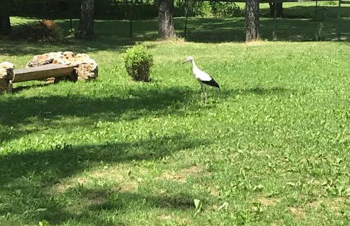 Napoleonsuite auf Schloß Hürbel - Foto 40
