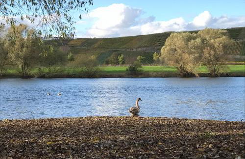 Mosel-Auszeit - Foto 22